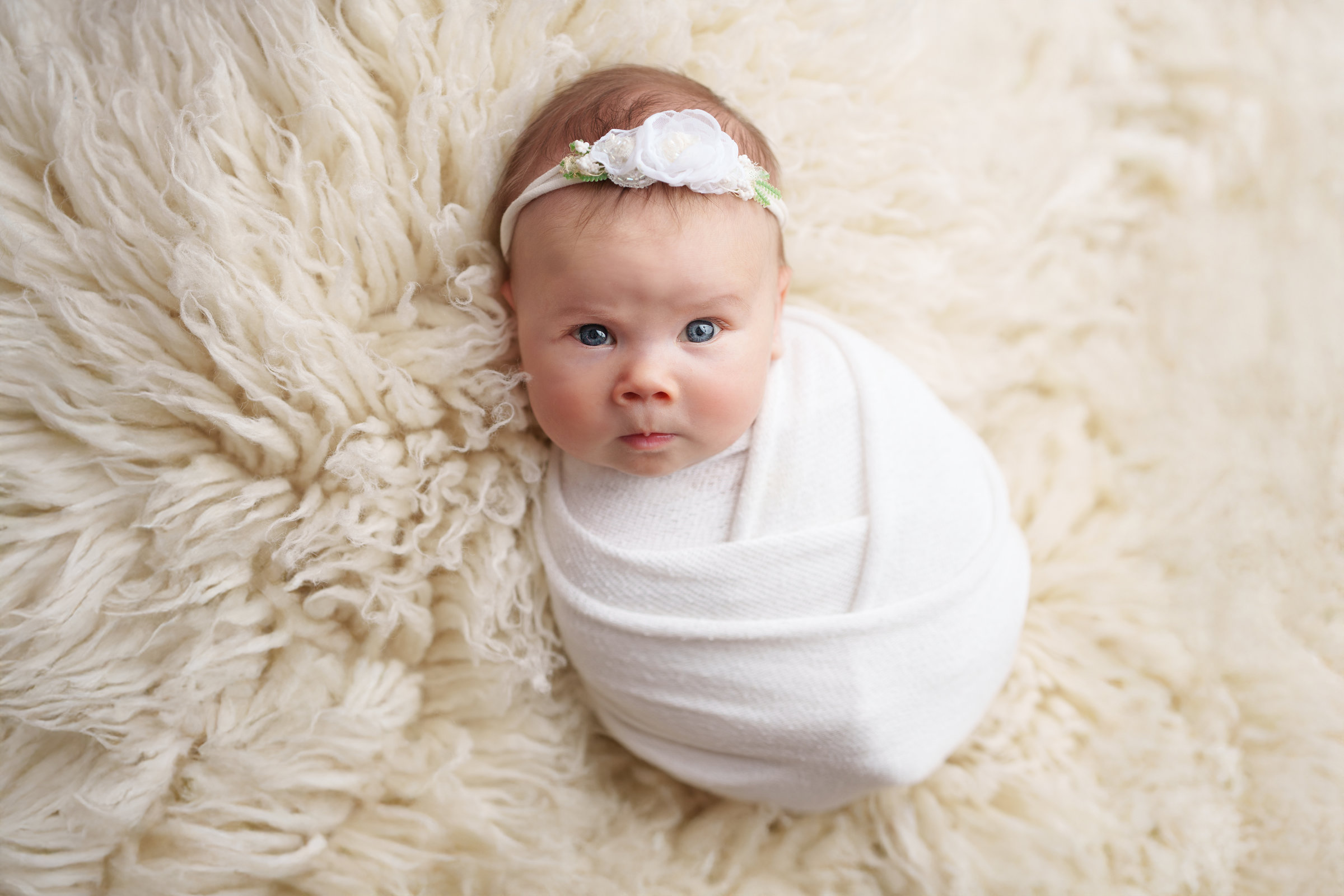 newborn_white (48) Newborn fotografija bijela tema, Ivana Livada Photography
