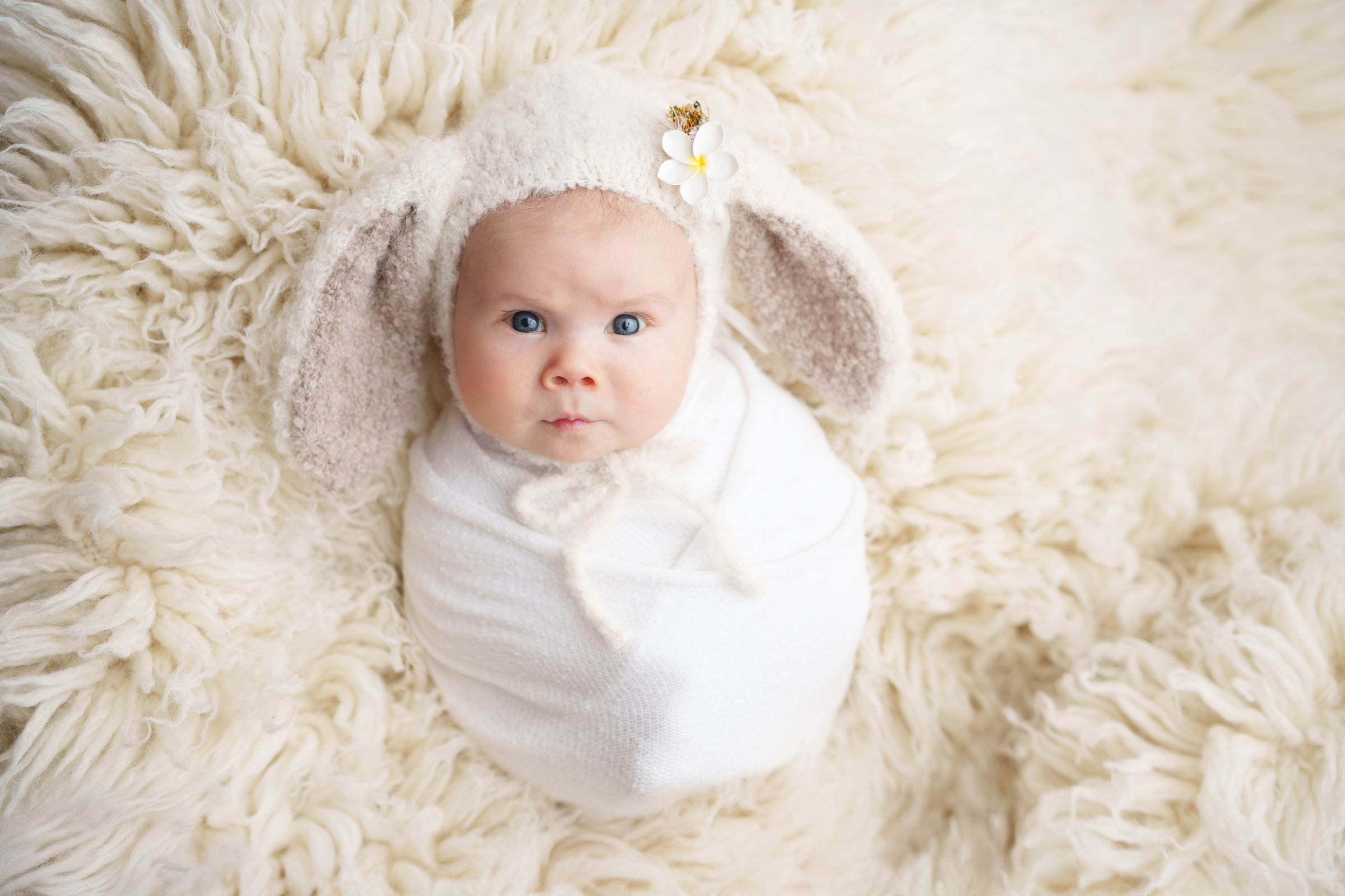 newborn_white (49) Newborn fotografija bijela tema, Ivana Livada Photography