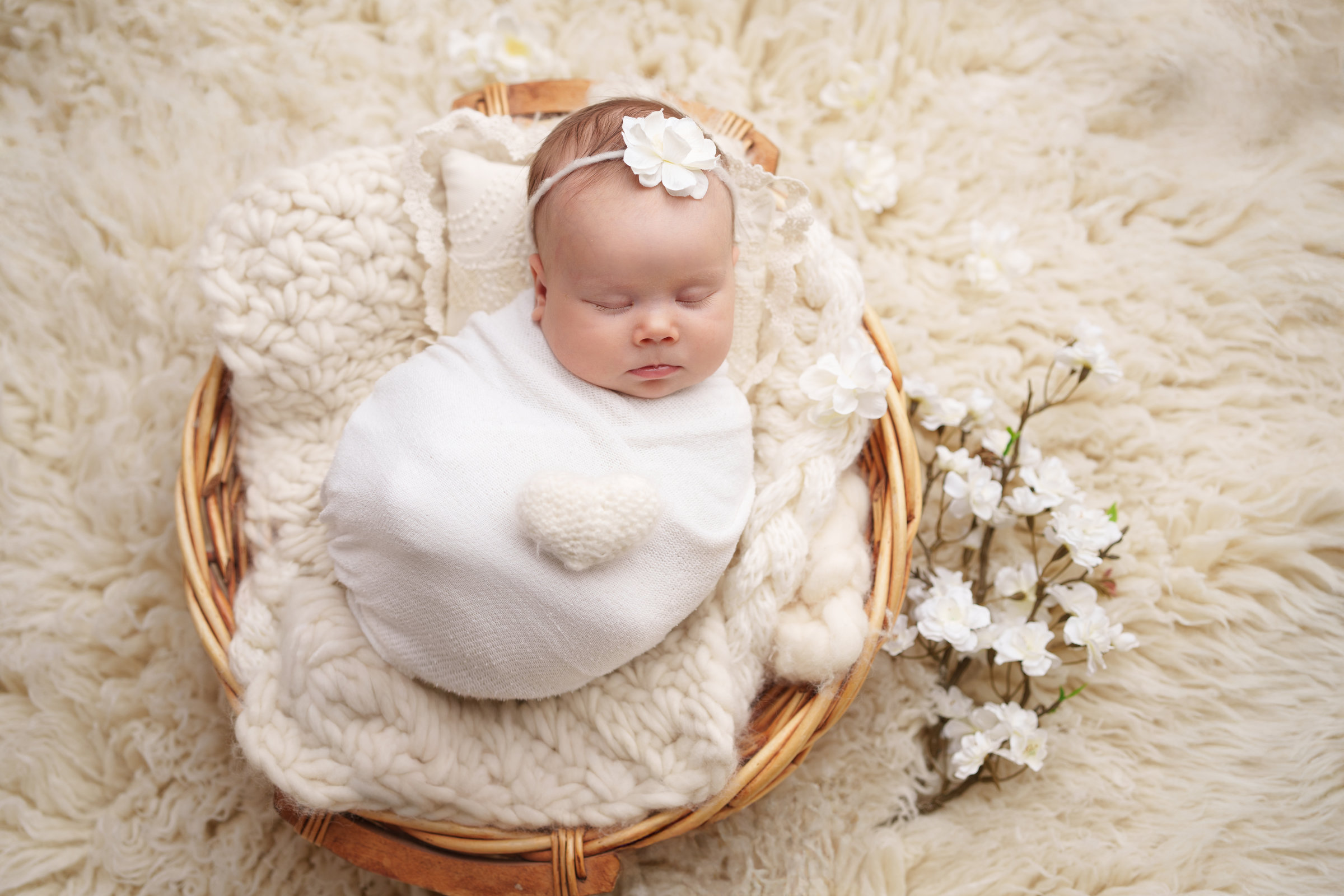Newborn fotografija novorođenčeta u košarici, bijela tema, Ivana Livada Photography